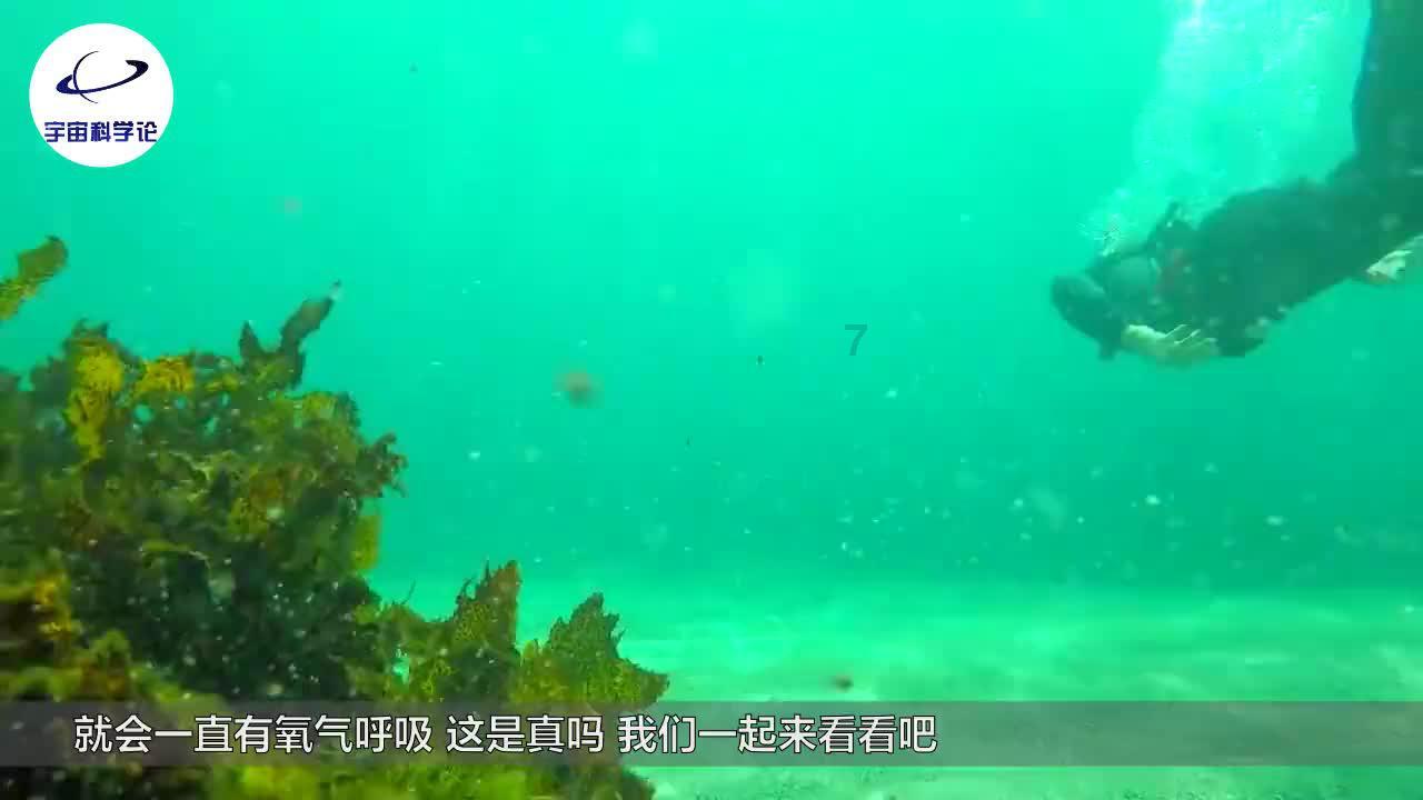 绥化到铁力不走高速多少公里？游戏画面